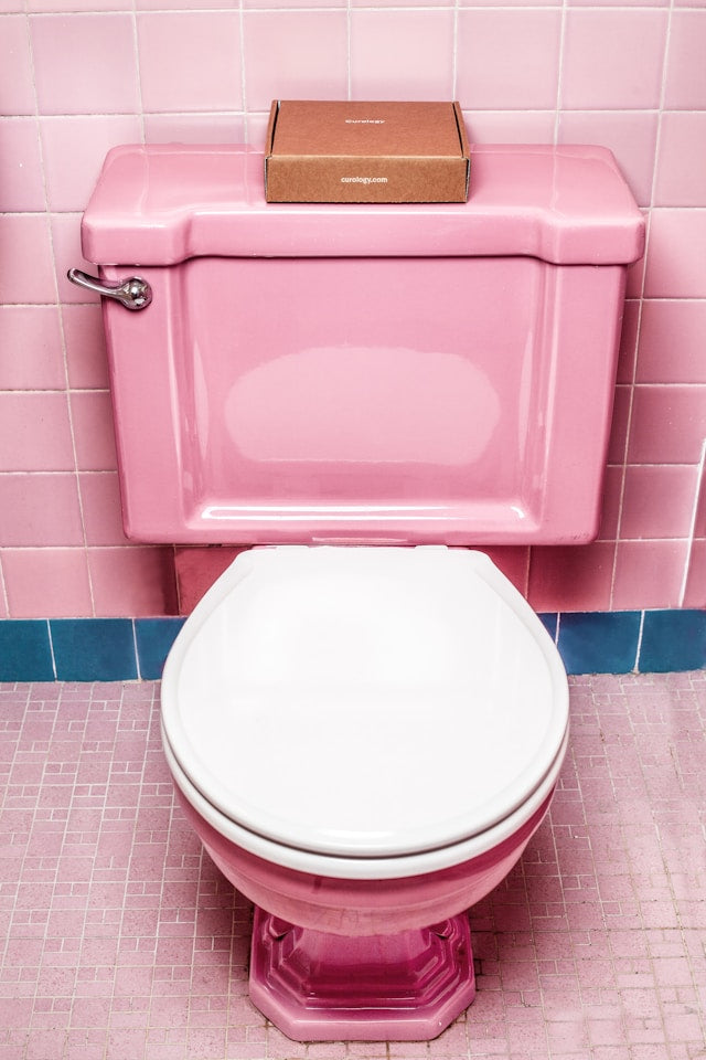 toiletborstel schoonmaken
