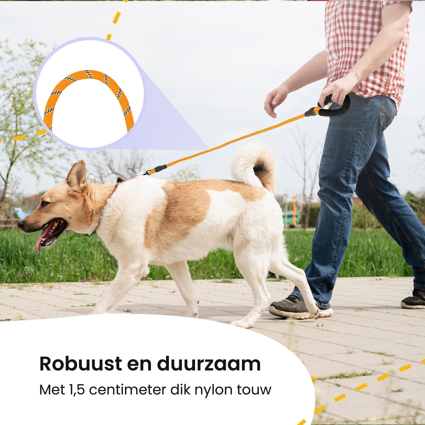 All 4 Pets Supply Reflecterende Hondenriem - 3 meter - Oranje - Hondenleiband / Hondenlijn