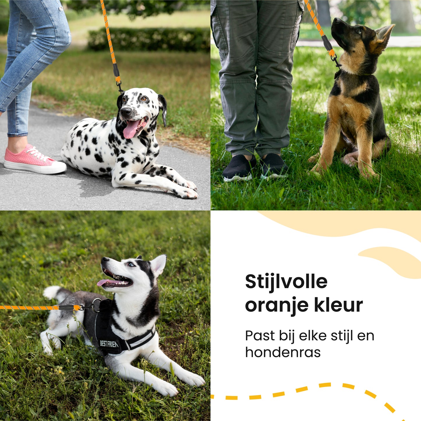 All 4 Pets Supply Reflecterende Hondenriem - 3 meter - Oranje - Hondenleiband / Hondenlijn