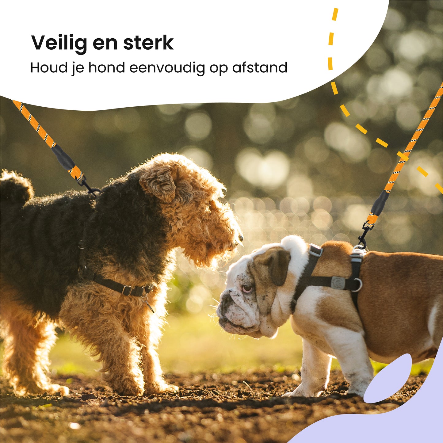 All 4 Pets Supply Reflecterende Hondenriem - 3 meter - Oranje - Hondenleiband / Hondenlijn