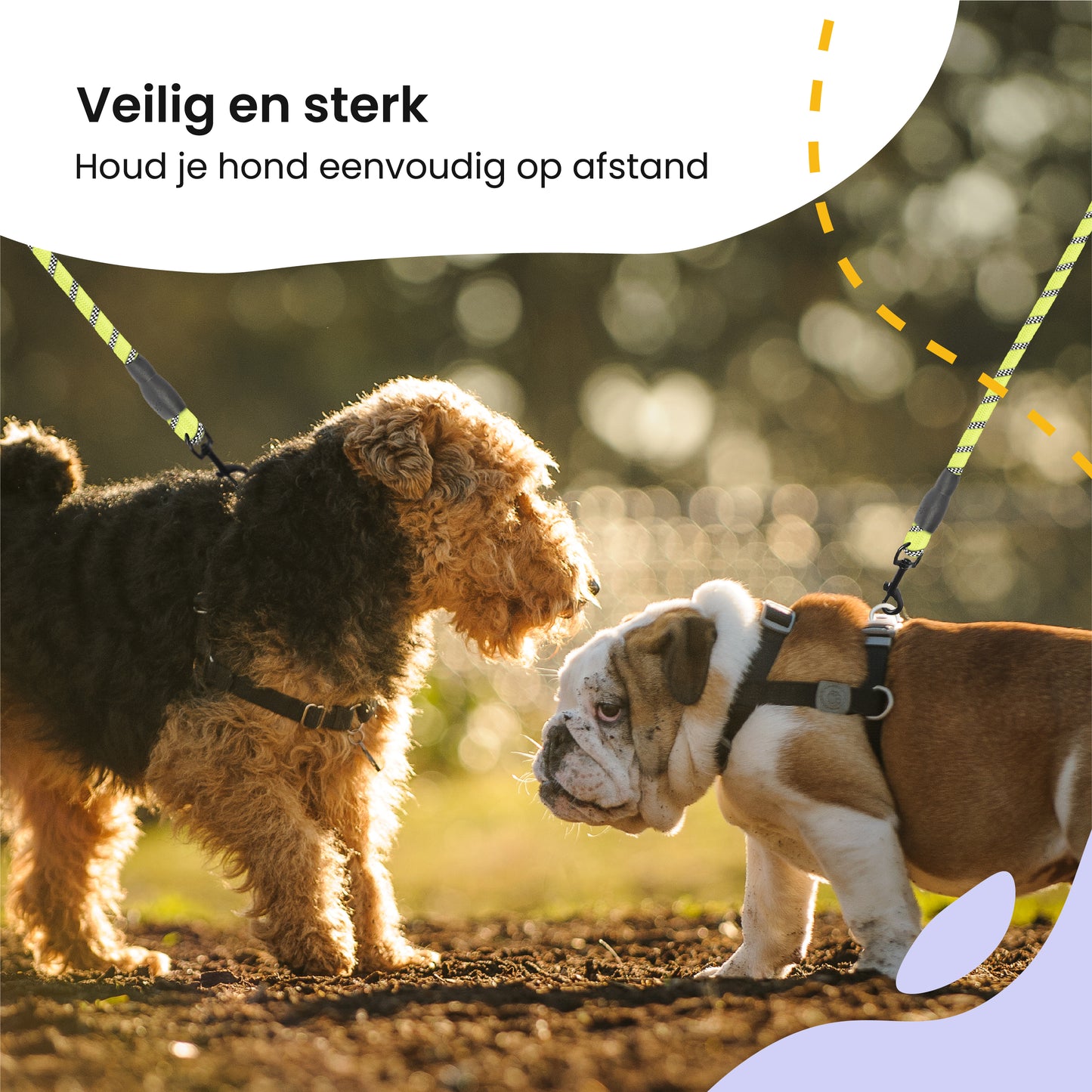 All 4 Pets Supply Reflecterende Hondenriem - 3 meter - Geel - Hondenleiband / Hondenlijn