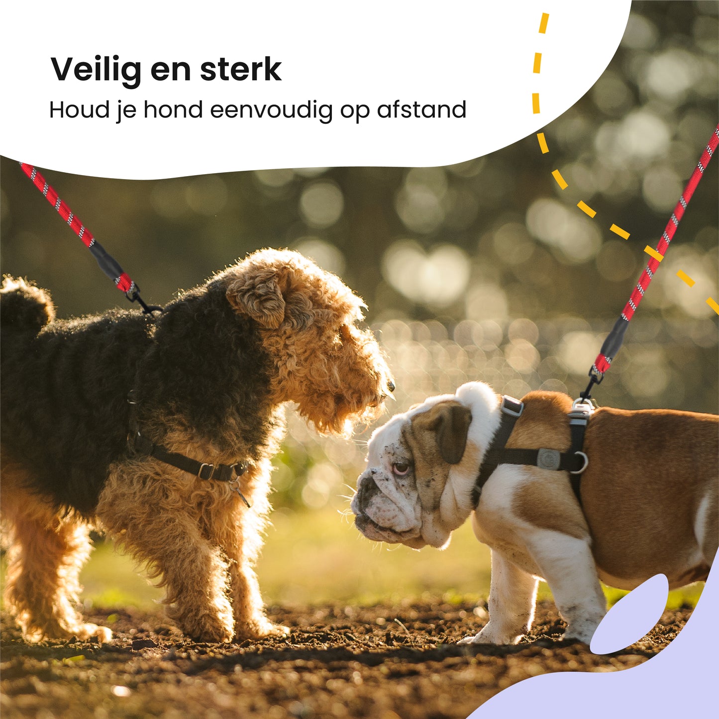 All 4 Pets Supply Reflecterende Hondenriem - 3 meter - Rood - Hondenleiband / Hondenlijn