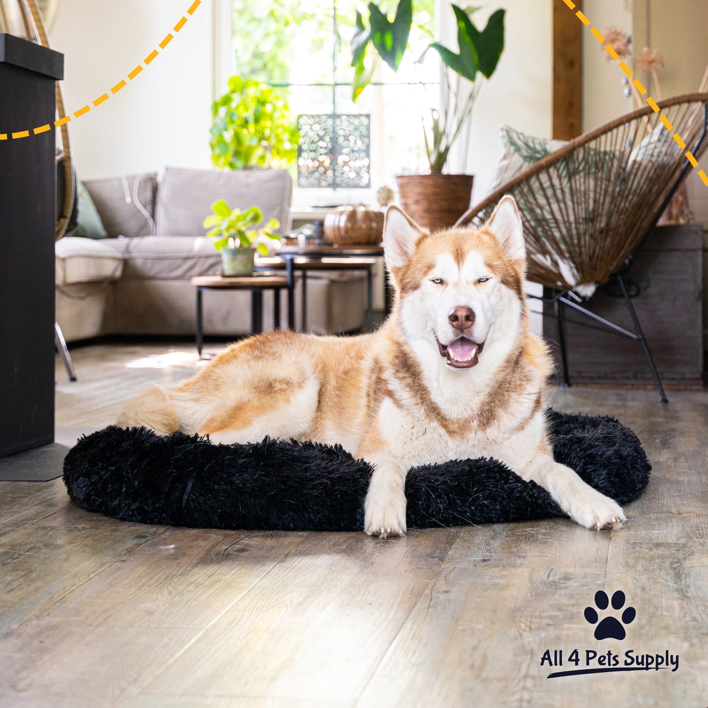 All 4 Pets Supply Hondenmand Donut - Maat XL - Geschikt Voor Honden Tot 80 cm