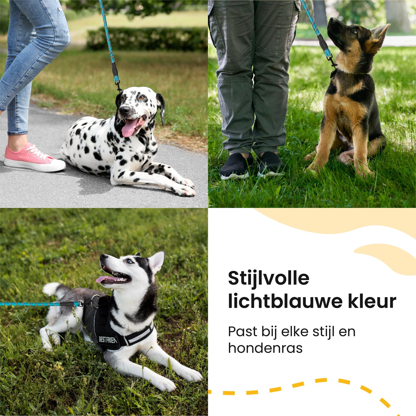 All 4 Pets Supply Reflecterende Hondenriem - 3 meter - NeonBlauw - Hondenleiband / Hondenlijn