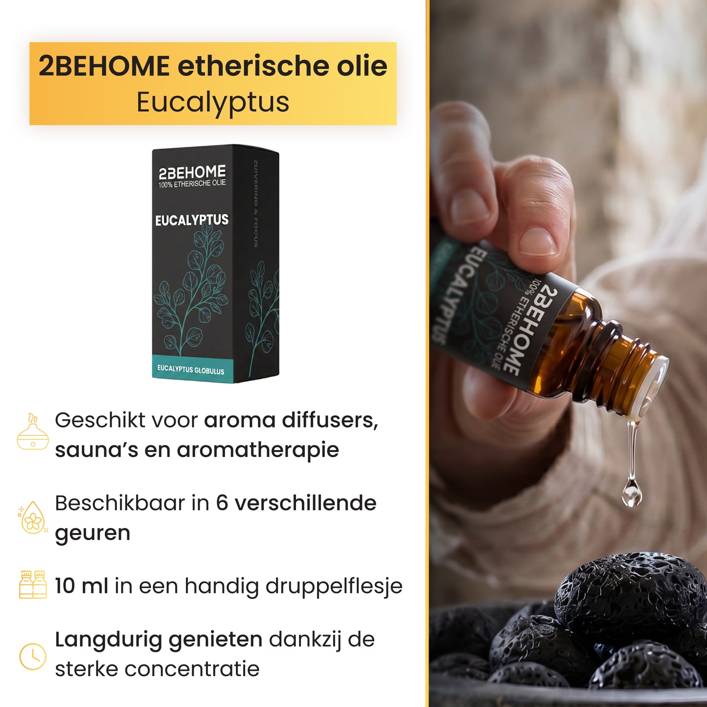 2BEHOME Etherische Olie Eucalyptus - 10 ML - 1 Stuk - Essentiële olie voor Aromatherapie