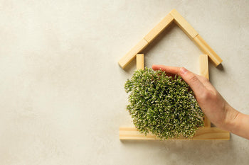 Duurzame binnenlak voor intensief gebruik