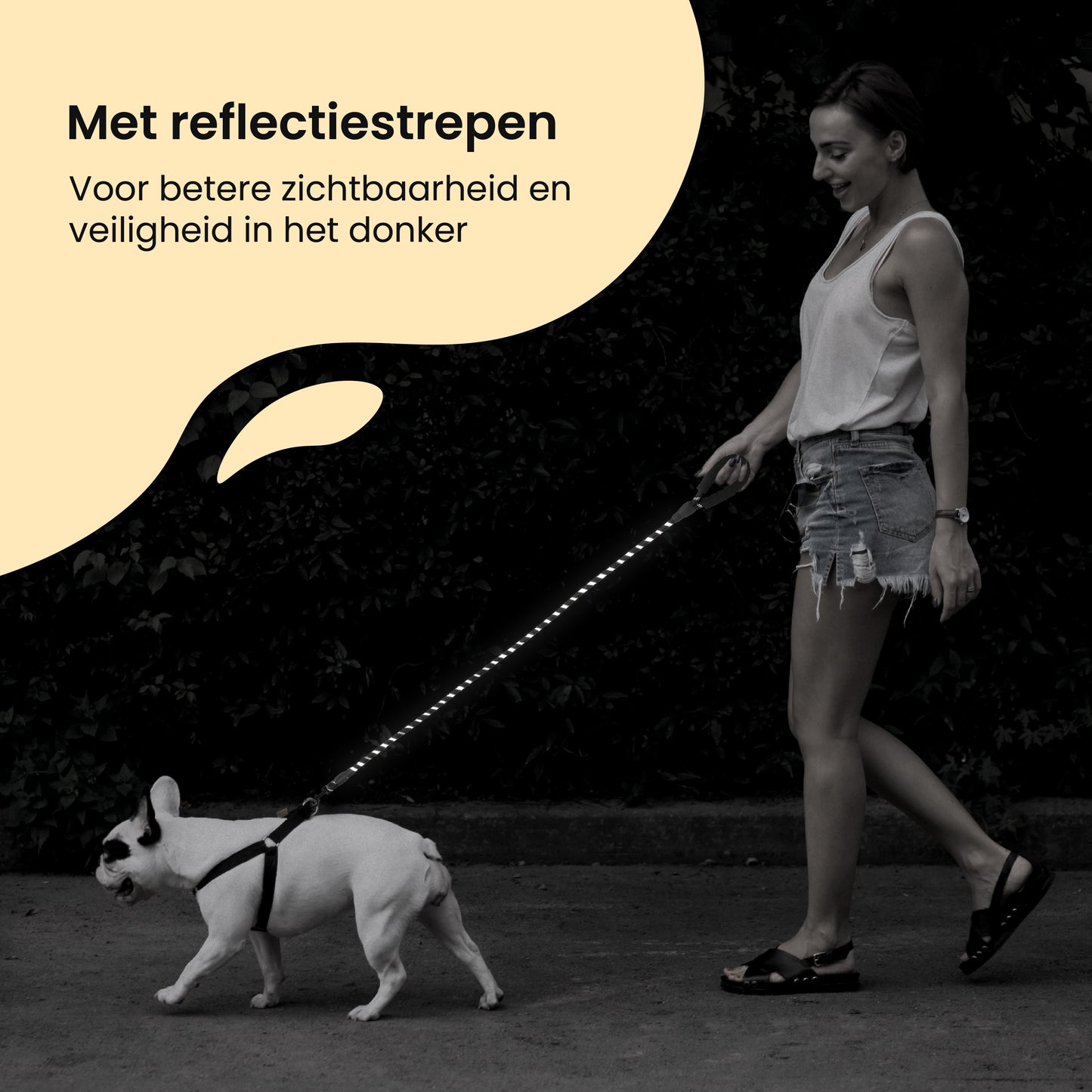 All 4 Pets Supply® Reflecterende Hondenriem - 2 meter - Zwart