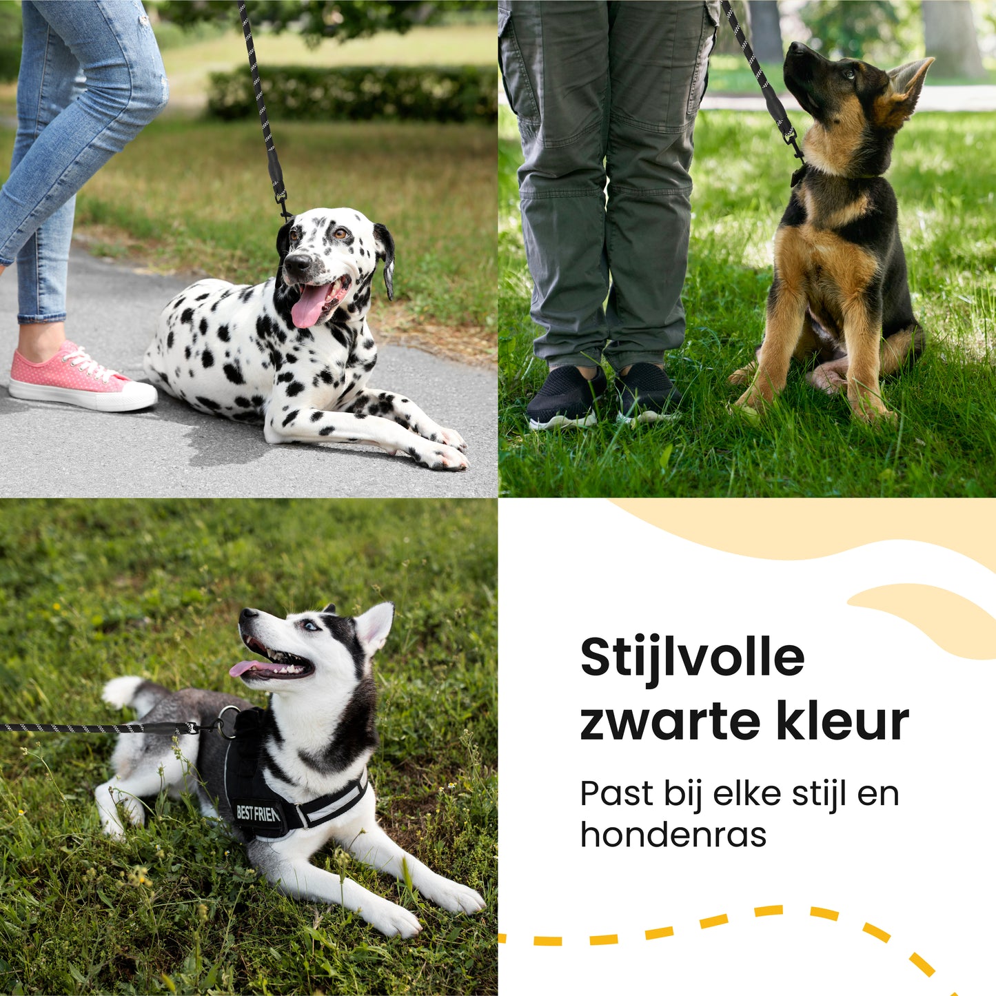 All 4 Pets Supply® Reflecterende Hondenriem - 2 meter - Zwart