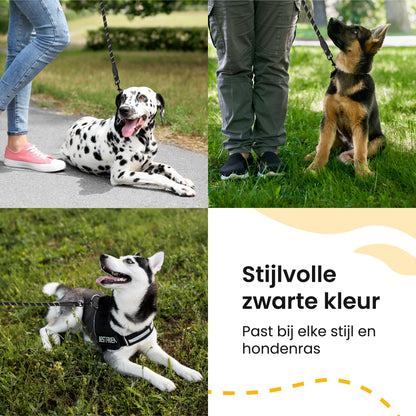 All 4 Pets Supply® Reflecterende Hondenriem - 2 meter - Zwart
