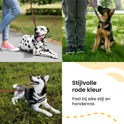 All 4 Pets Supply Reflecterende Hondenriem - 3 meter - Rood - Hondenleiband / Hondenlijn