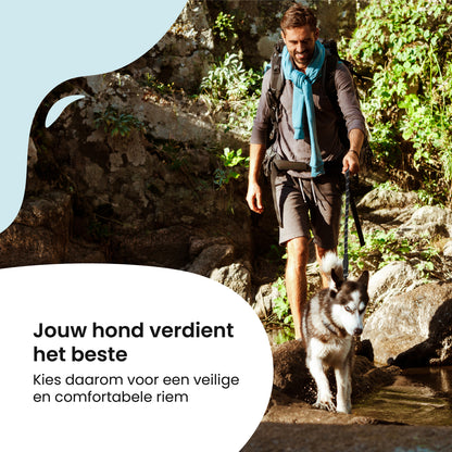 All 4 Pets Supply® Reflecterende Hondenriem - 2 meter - Zwart