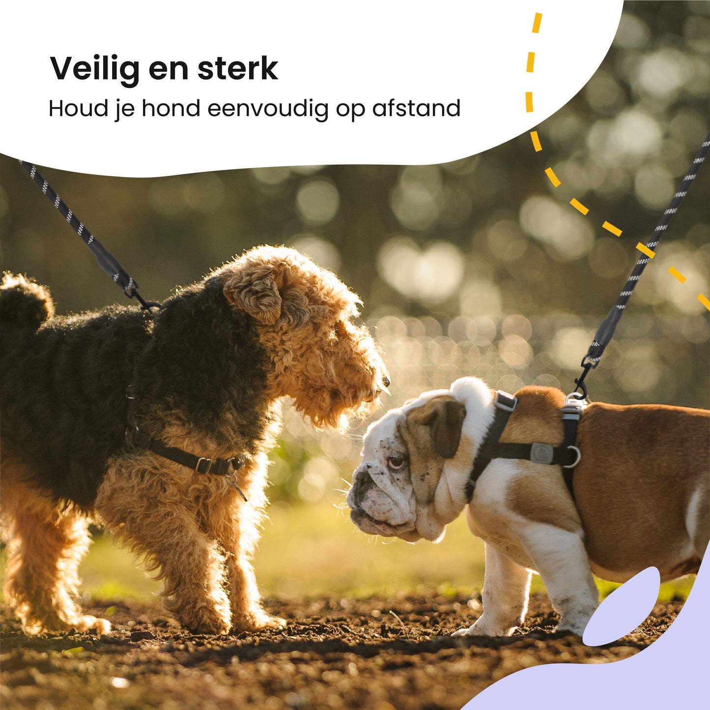 All 4 Pets Supply® Reflecterende Hondenriem - 2 meter - Zwart
