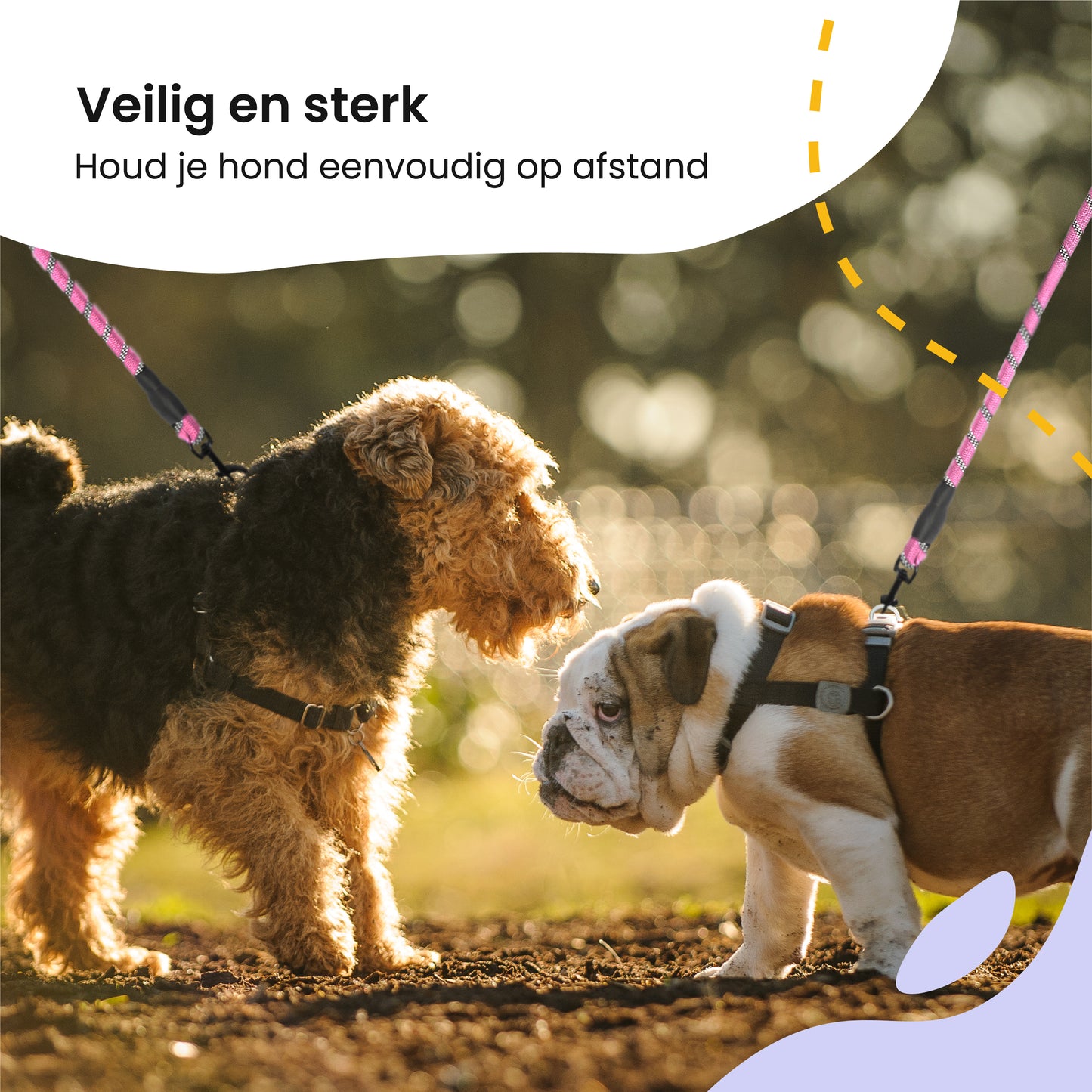 All 4 Pets Supply Reflecterende Hondenriem - 3 meter - Roze - Hondenleiband / Hondenlijn