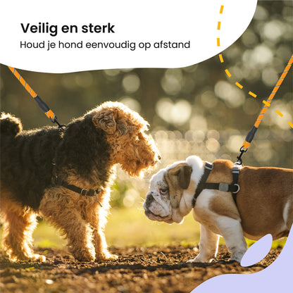 All 4 Pets Supply Reflecterende Hondenriem - 3 meter - Oranje - Hondenleiband / Hondenlijn