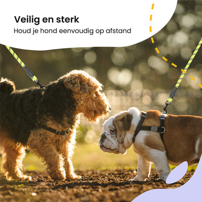 All 4 Pets Supply Reflecterende Hondenriem - 3 meter - Geel - Hondenleiband / Hondenlijn