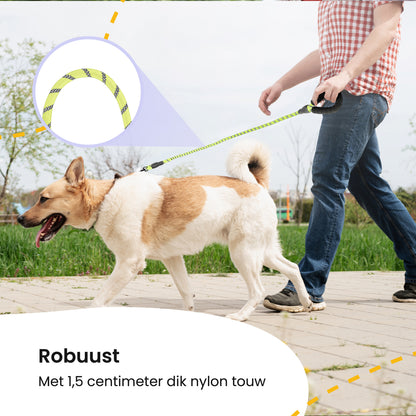 All 4 Pets Supply Reflecterende Hondenriem - 3 meter - Geel - Hondenleiband / Hondenlijn