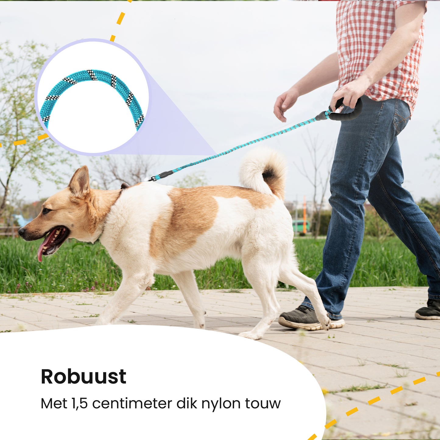All 4 Pets Supply Reflecterende Hondenriem - 3 meter - NeonBlauw - Hondenleiband / Hondenlijn