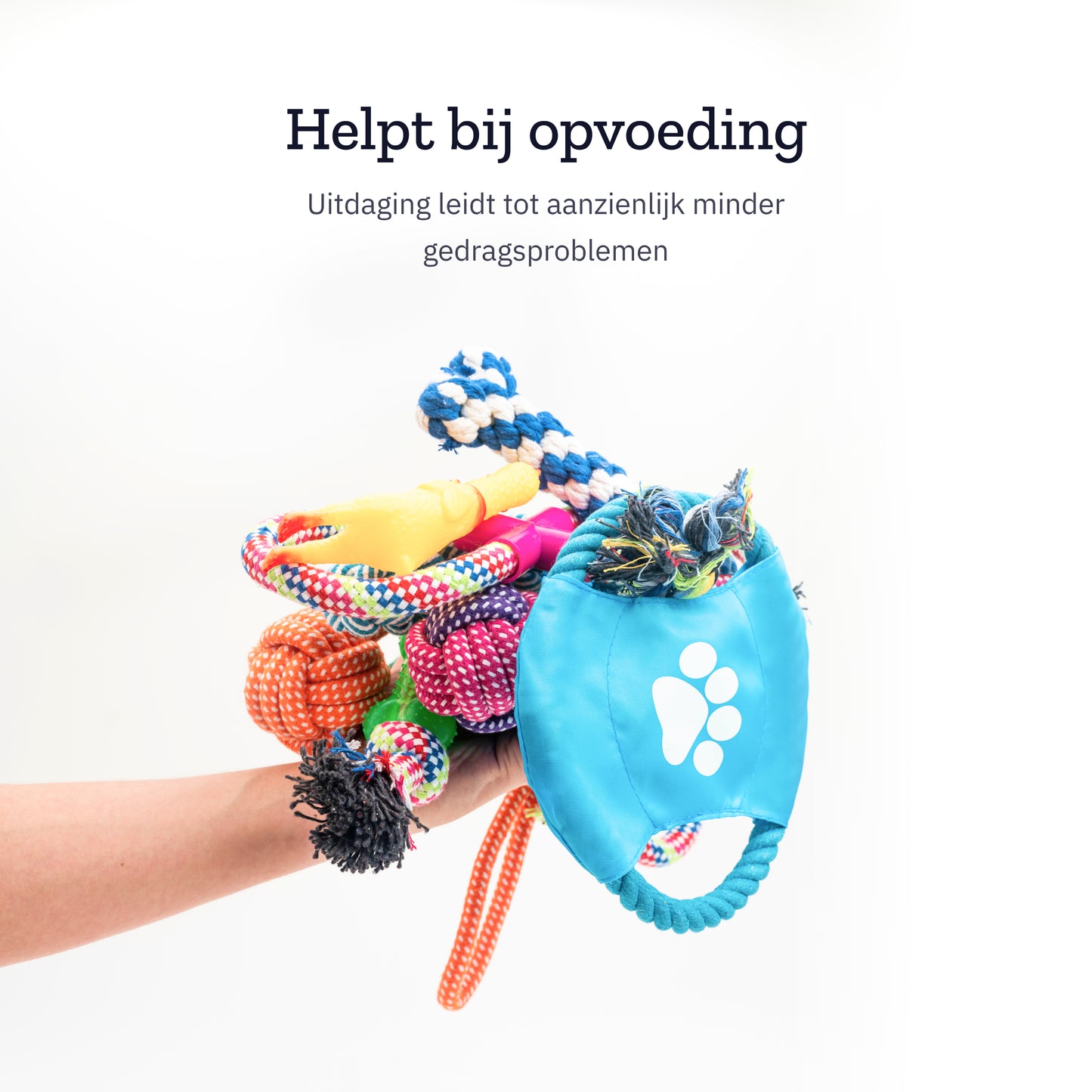 All 4 Pets Supply® Honden Speelgoed - Geschikt voor Puppy's tot Middelgrote Honden - 12 stuks