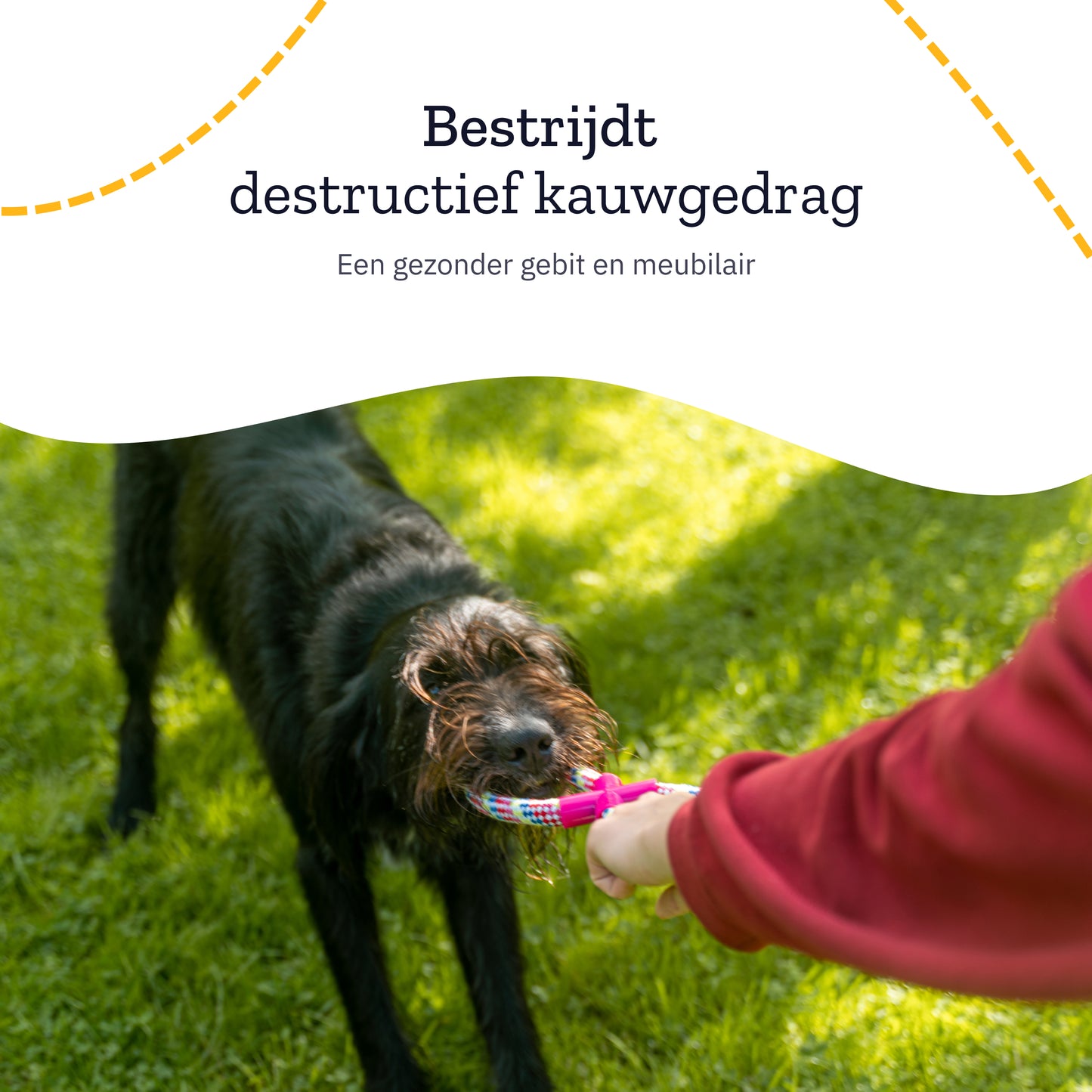 All 4 Pets Supply® Honden Speelgoed - Geschikt voor Puppy's tot Middelgrote Honden - 12 stuks