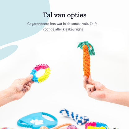 All 4 Pets Supply® Honden Speelgoed - Geschikt voor Puppy's tot Middelgrote Honden - 12 stuks