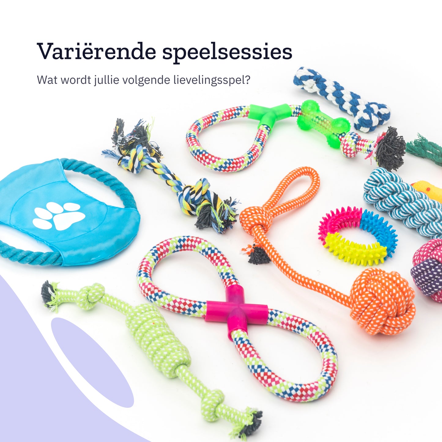 All 4 Pets Supply® Honden Speelgoed - Geschikt voor Puppy's tot Middelgrote Honden - 12 stuks