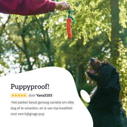 All 4 Pets Supply® Honden Speelgoed - Geschikt voor Puppy's tot Middelgrote Honden - 12 stuks