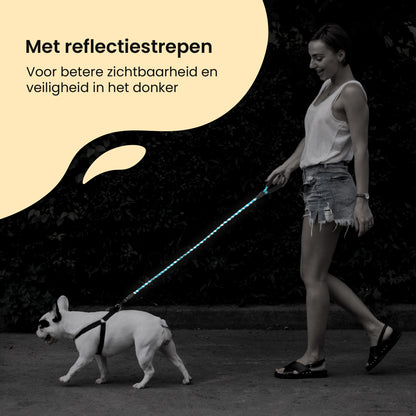 All 4 Pets Supply Reflecterende Hondenriem - 3 meter - NeonBlauw - Hondenleiband / Hondenlijn
