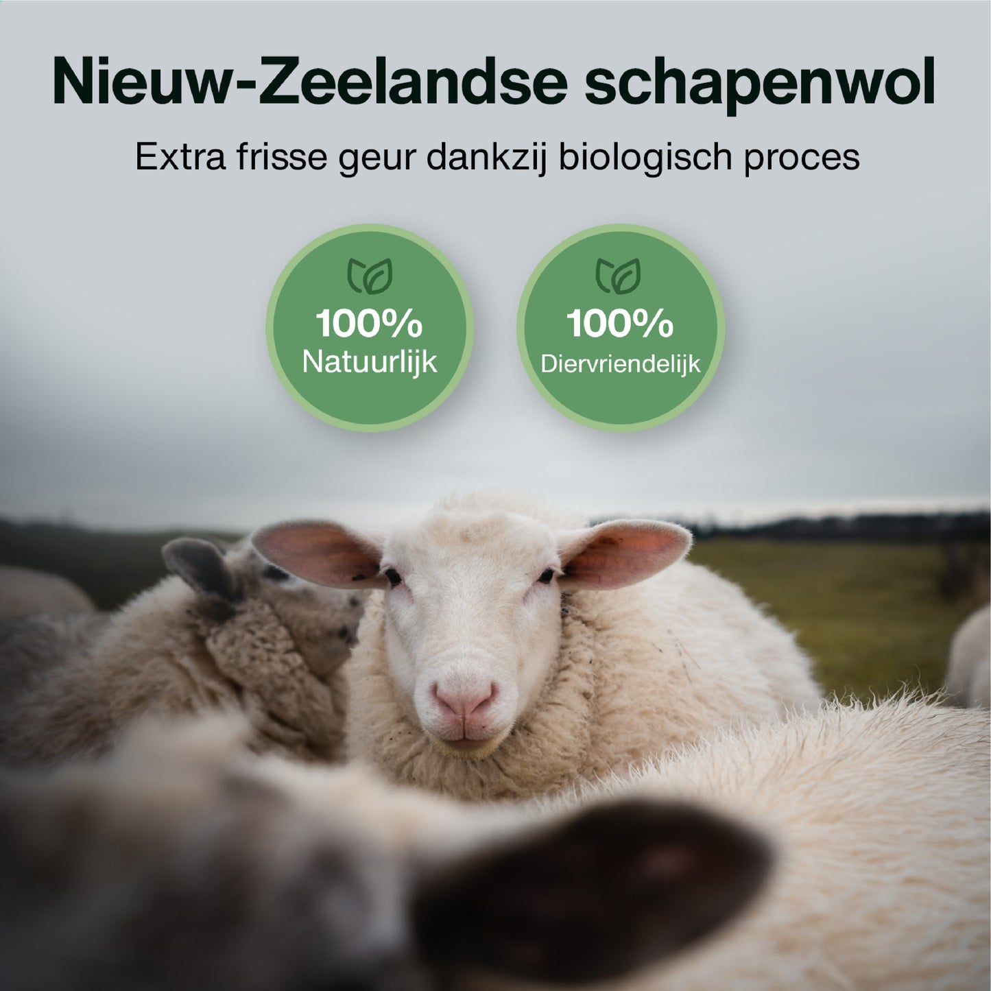 2BEHOME® 6XL Drogerballen Voor Wasdrogers - Wasdrogerballen - Zwart