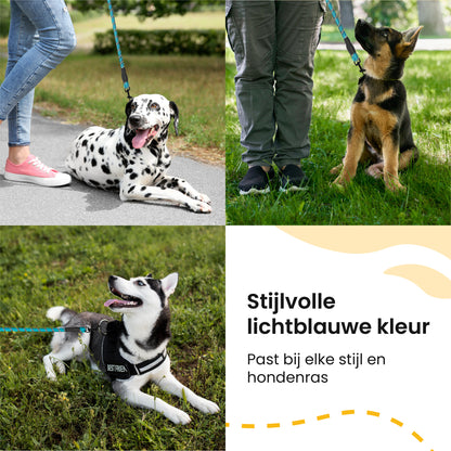 All 4 Pets Supply Reflecterende Hondenriem - 3 meter - NeonBlauw - Hondenleiband / Hondenlijn