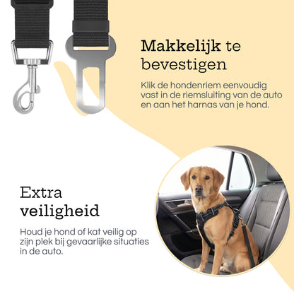Hond in auto met zwarte hondengordel, inclusief afmetingen en tekst “zorg dat jouw geliefde viervoeter veiliger is”. 
