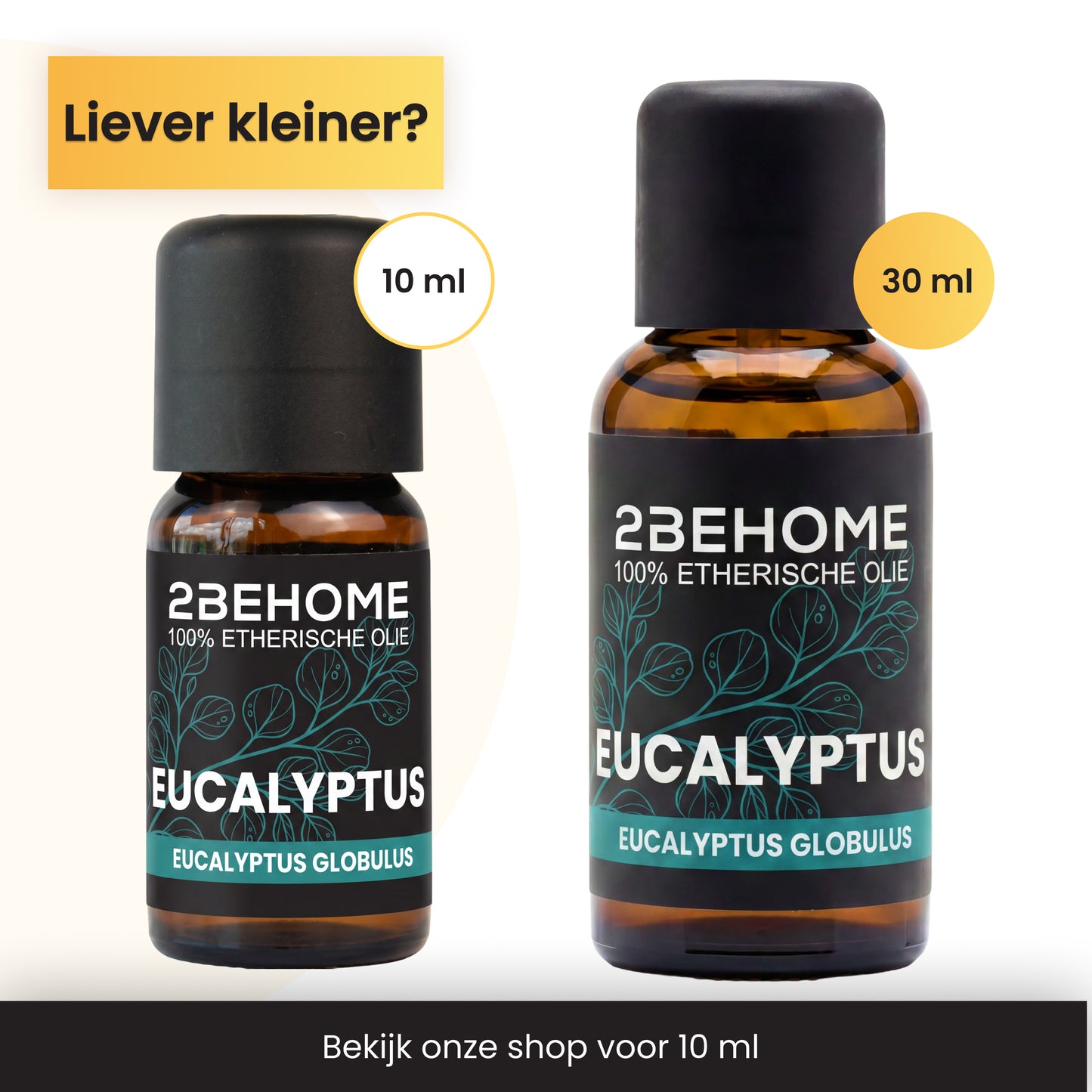 2BEHOME Etherische Olie Eucalyptus - 30 ML - 1 Stuk - Essentiële olie voor Aromatherapie
