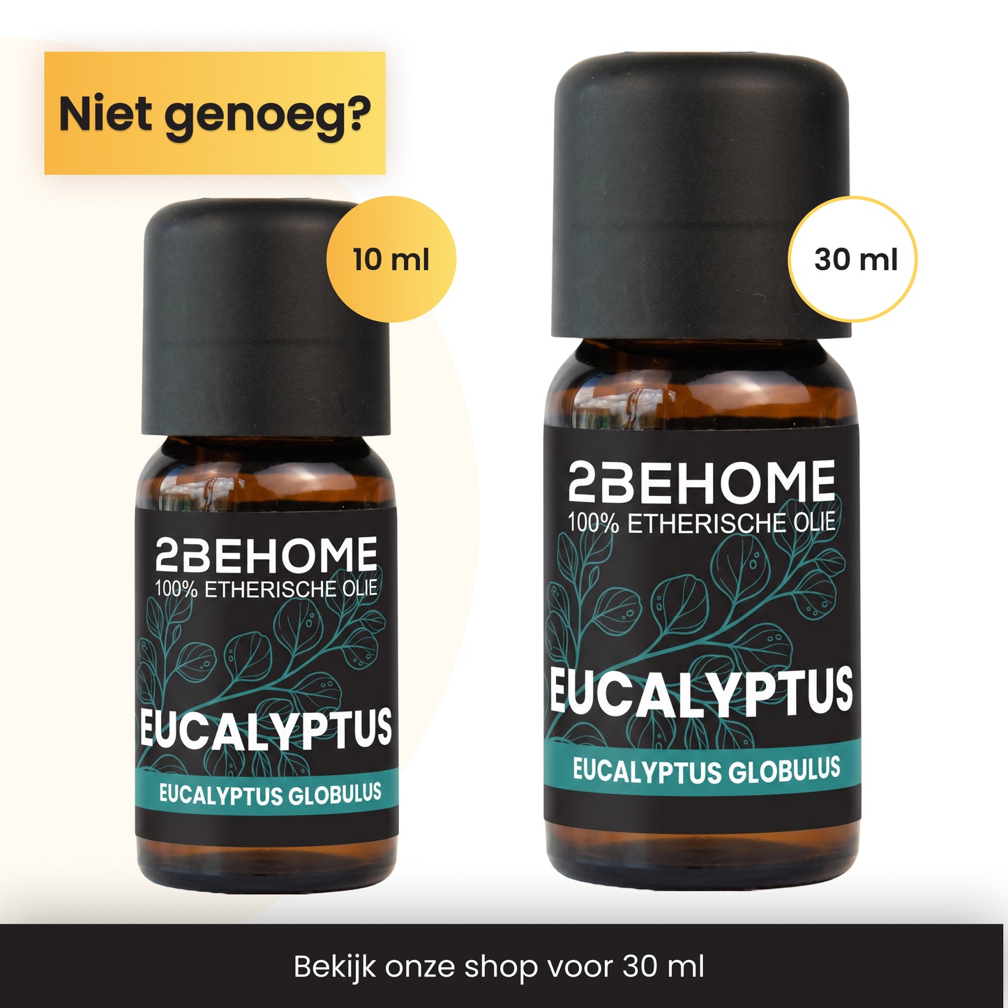 2BEHOME Etherische Olie Eucalyptus - 10 ML - 1 Stuk - Essentiële olie voor Aromatherapie