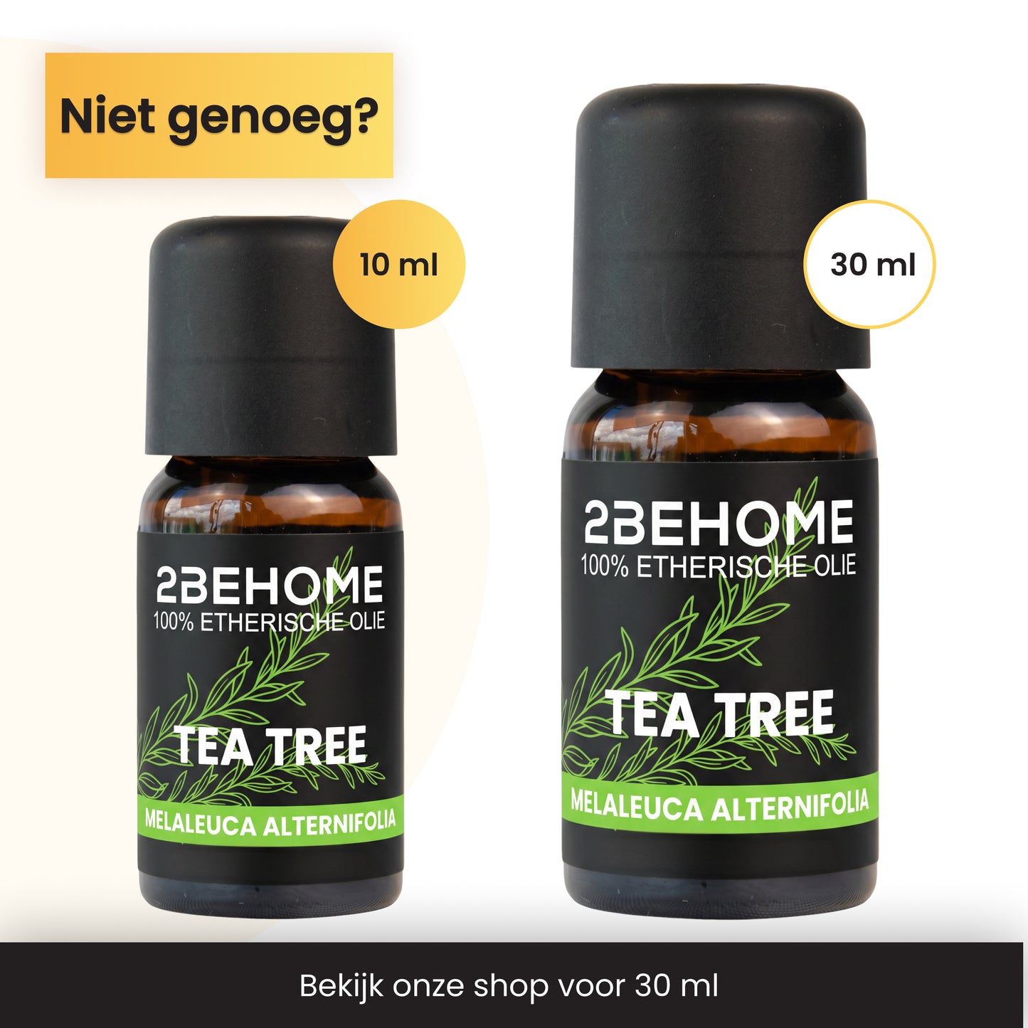 2BEHOME Etherische Olie Tea Tree - 10 ML - 1 Stuk - Essentiële olie voor Aromatherapie