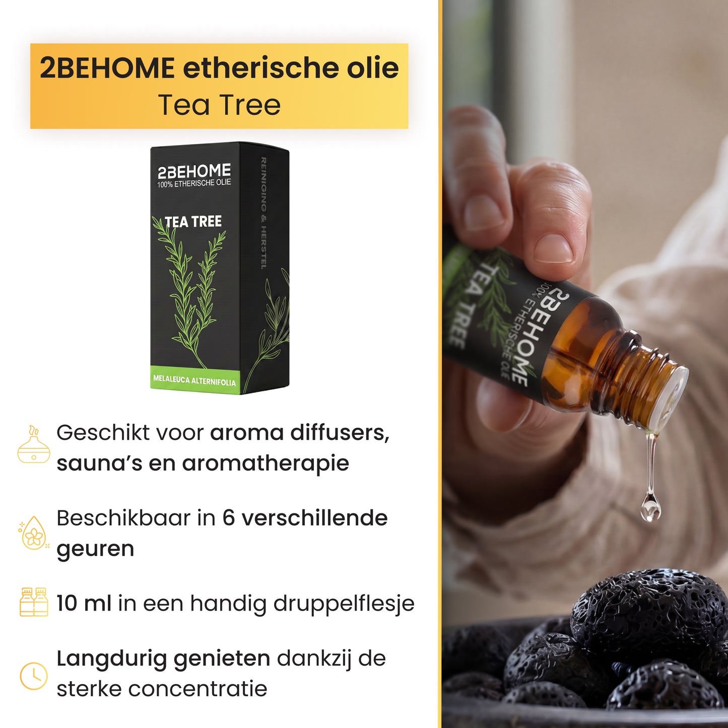 2BEHOME Etherische Olie Tea Tree - 10 ML - 1 Stuk - Essentiële olie voor Aromatherapie