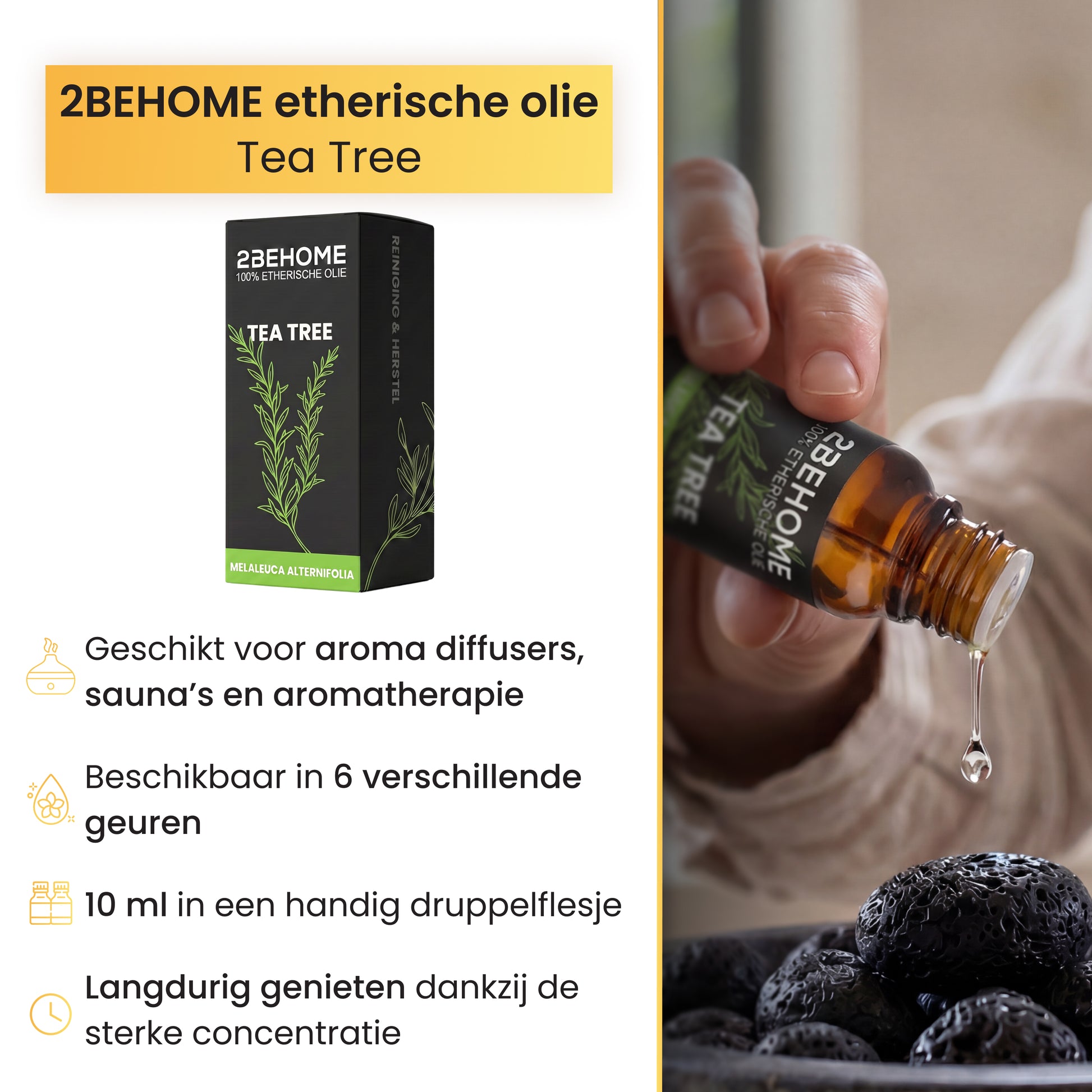 2BEHOME Etherische Olie Tea Tree - 10 ML - 1 Stuk - Essentiële olie voor Aromatherapie