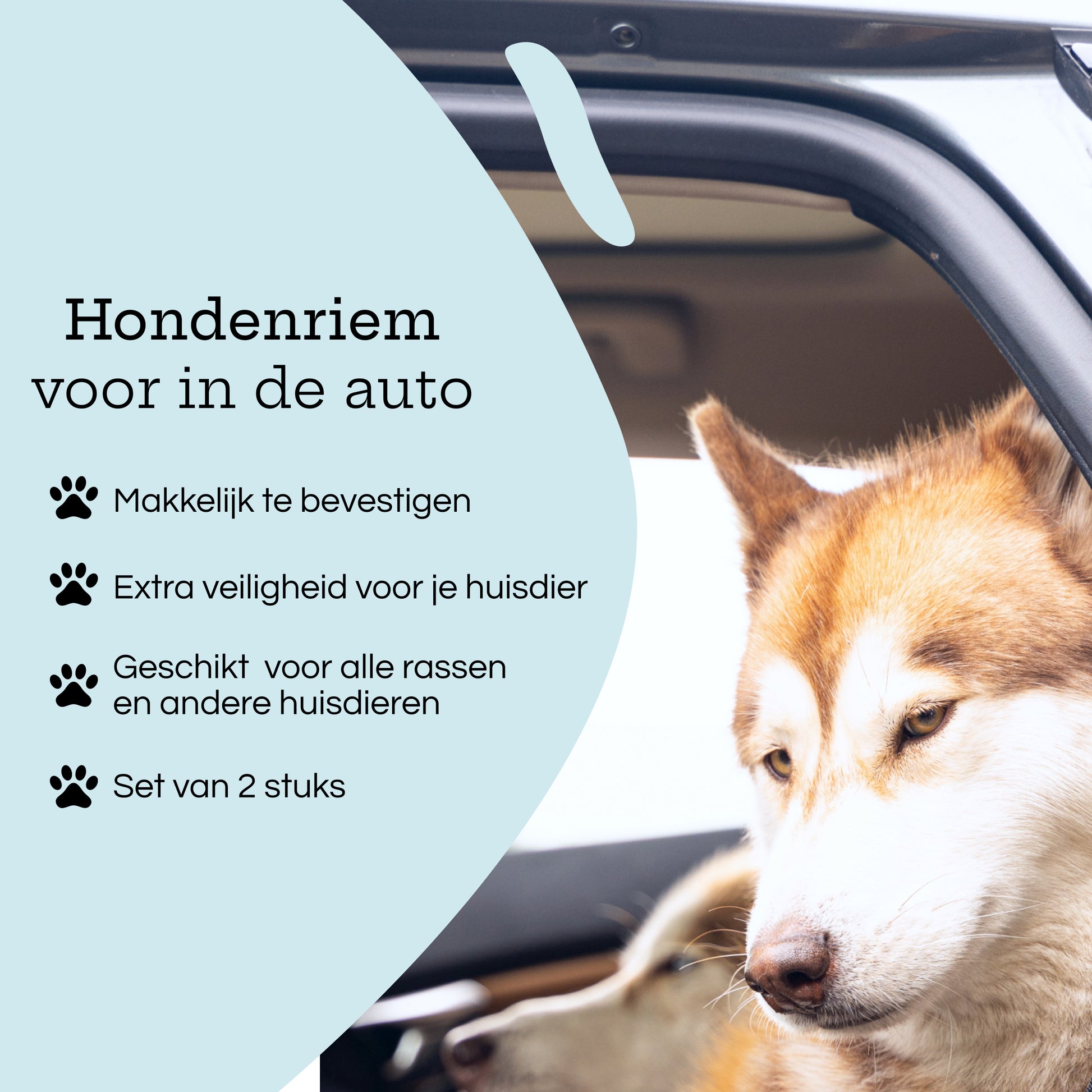  Hond in auto met zwarte hondengordels (2 stuks), geschikt voor alle hondenrassen, met teksten over eenvoudige bevestiging en extra veiligheid.
