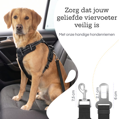 Hond in auto met zwarte hondengordels en teksten “makkelijk te bevestigen” en “extra veiligheid”.
